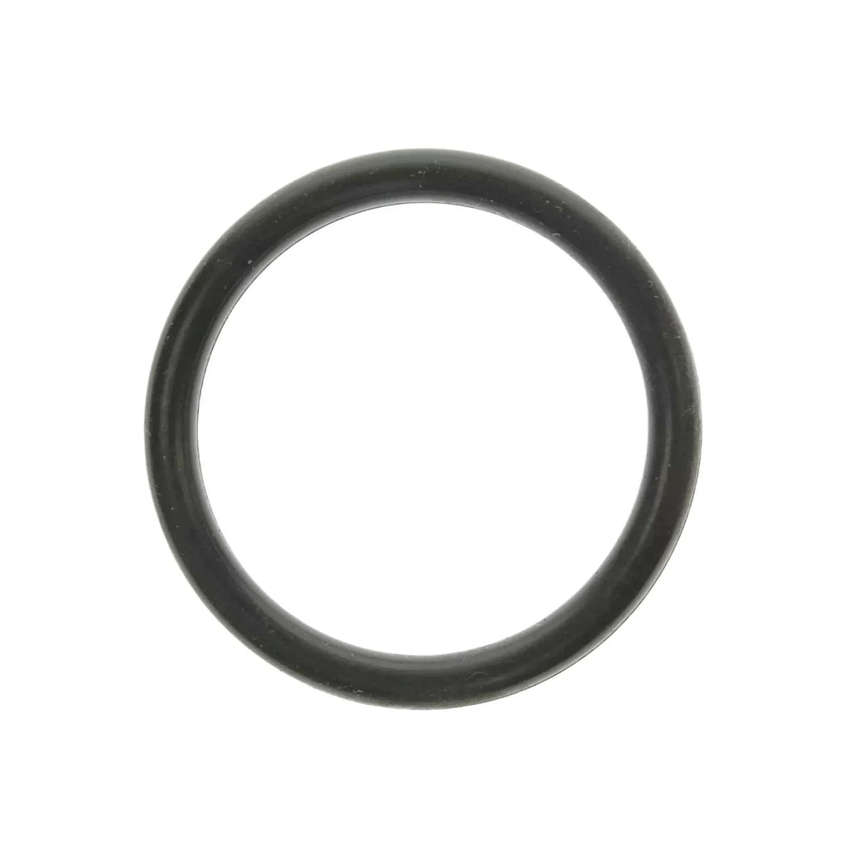 O-Ring Set of 2 for OMC 302493 (Boat Parts)