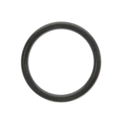 O-Ring Set of 2 for OMC 302493 (Boat Parts)