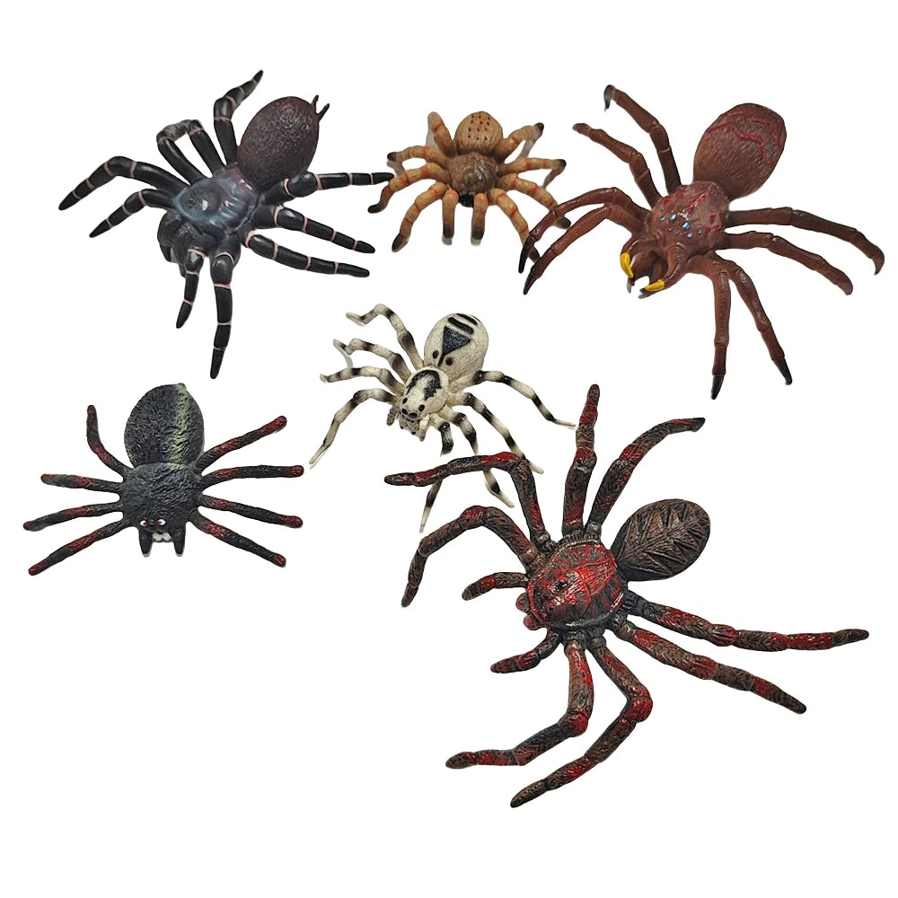 Spider Animal Model Figures for Kids (Collector Toy)