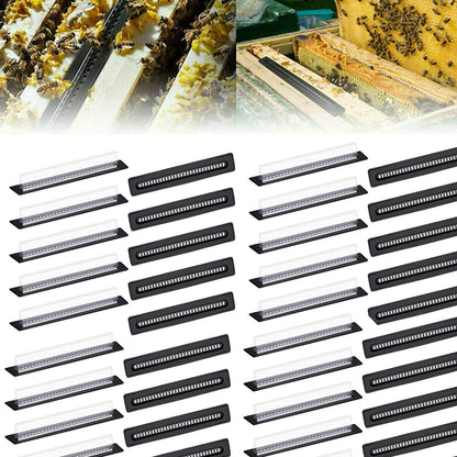 Bee Hive Beetle Trap for Beekeeping