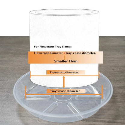 Set of 6 Clear 4-Inch Plant Saucers Trays