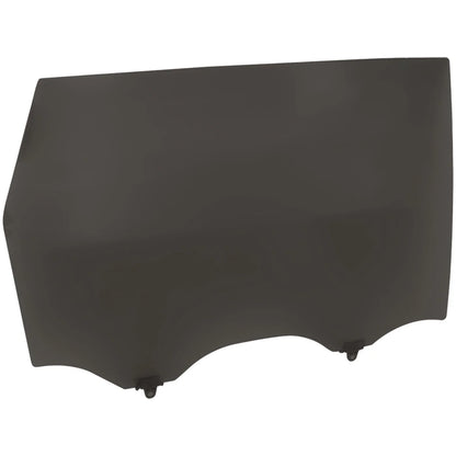 Set of 2 Door Glasses for Nissan