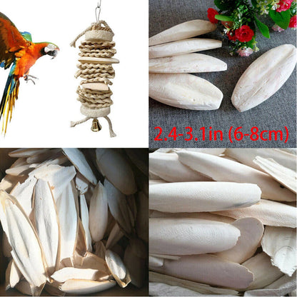 10/20 Pcs Cuttlebone for Birds (2.4-3.1")