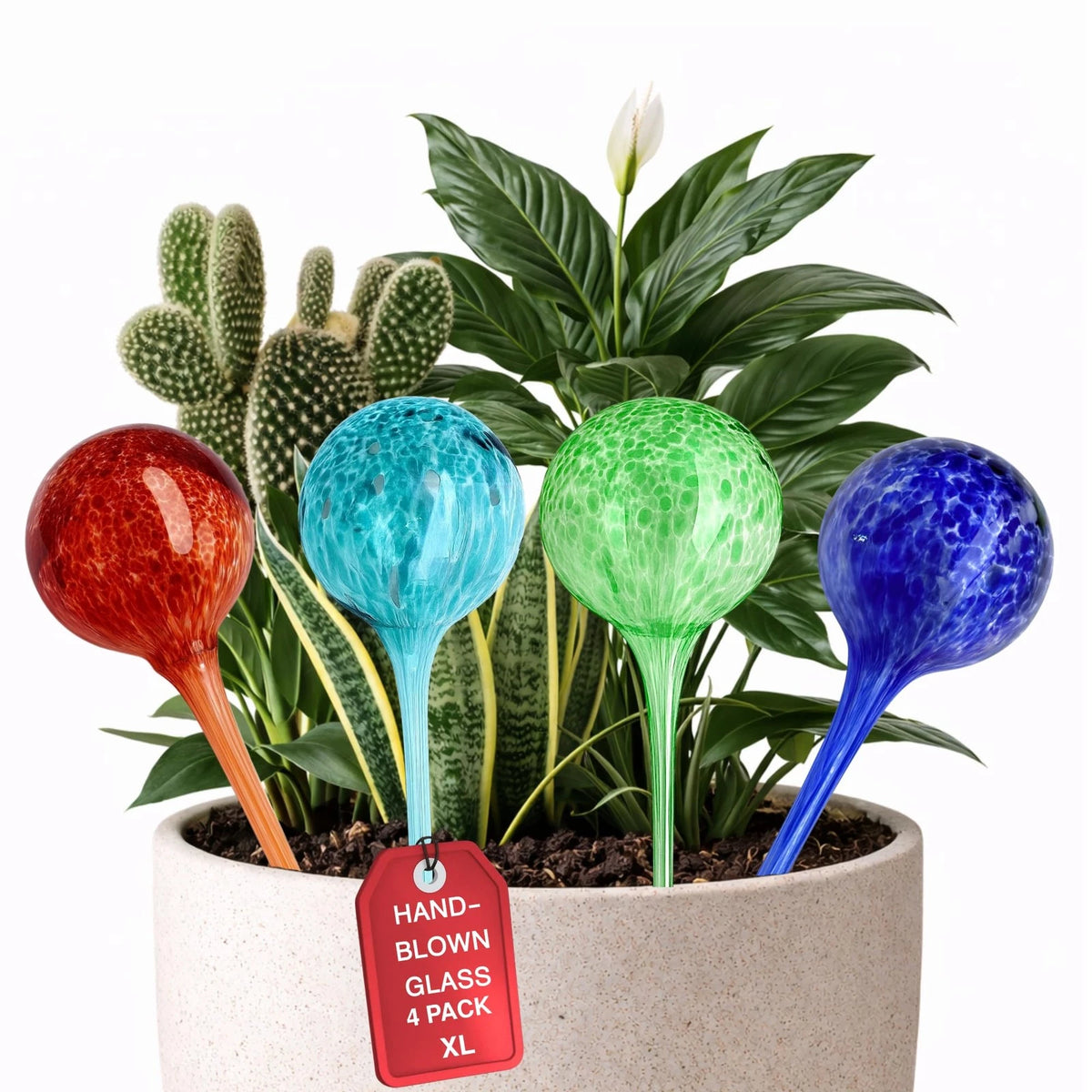 Set of 4 Premium Plant Watering Globes (XLarge 350 ml) – Up to 10 Days