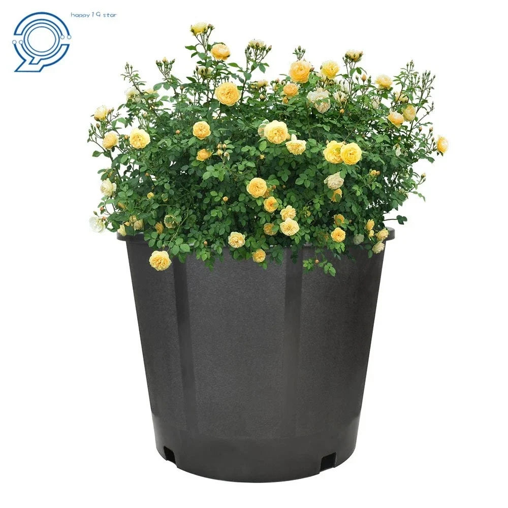 Set of 10 Black Thermoformed Nursery Pots for Plants (3 Gallon)