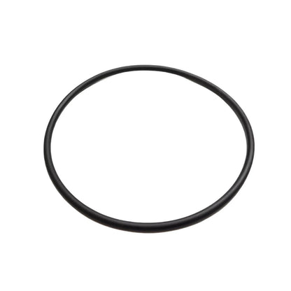 2X O-Ring for OMC (313893)