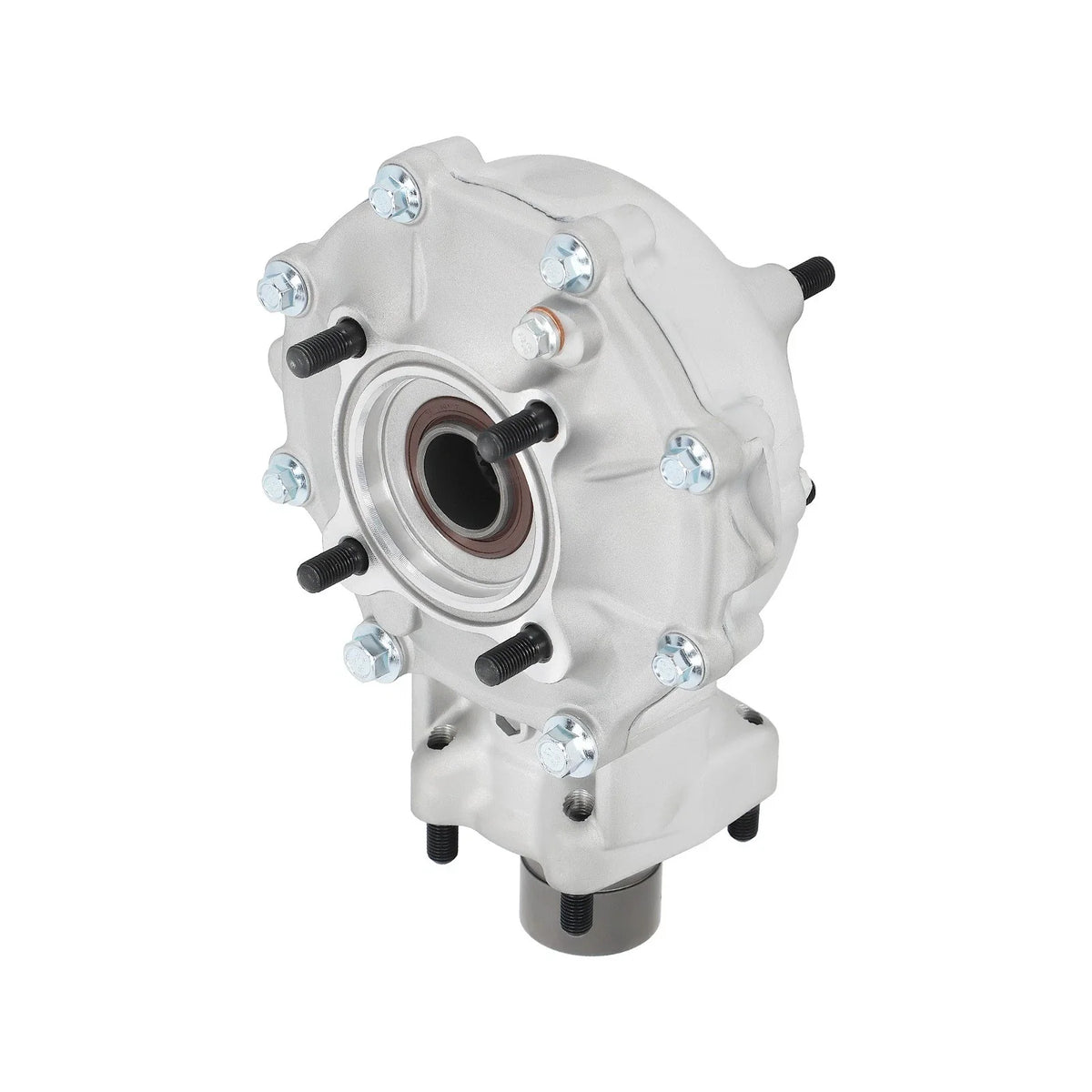Rear Differential Assembly for Honda Foreman Rubicon 500 TRX500 (2001–2004)