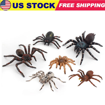 Spider Animal Model Figures for Kids (Collector Toy)