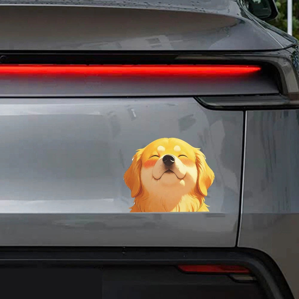 Customizable Vinyl Stickers for Car Windows