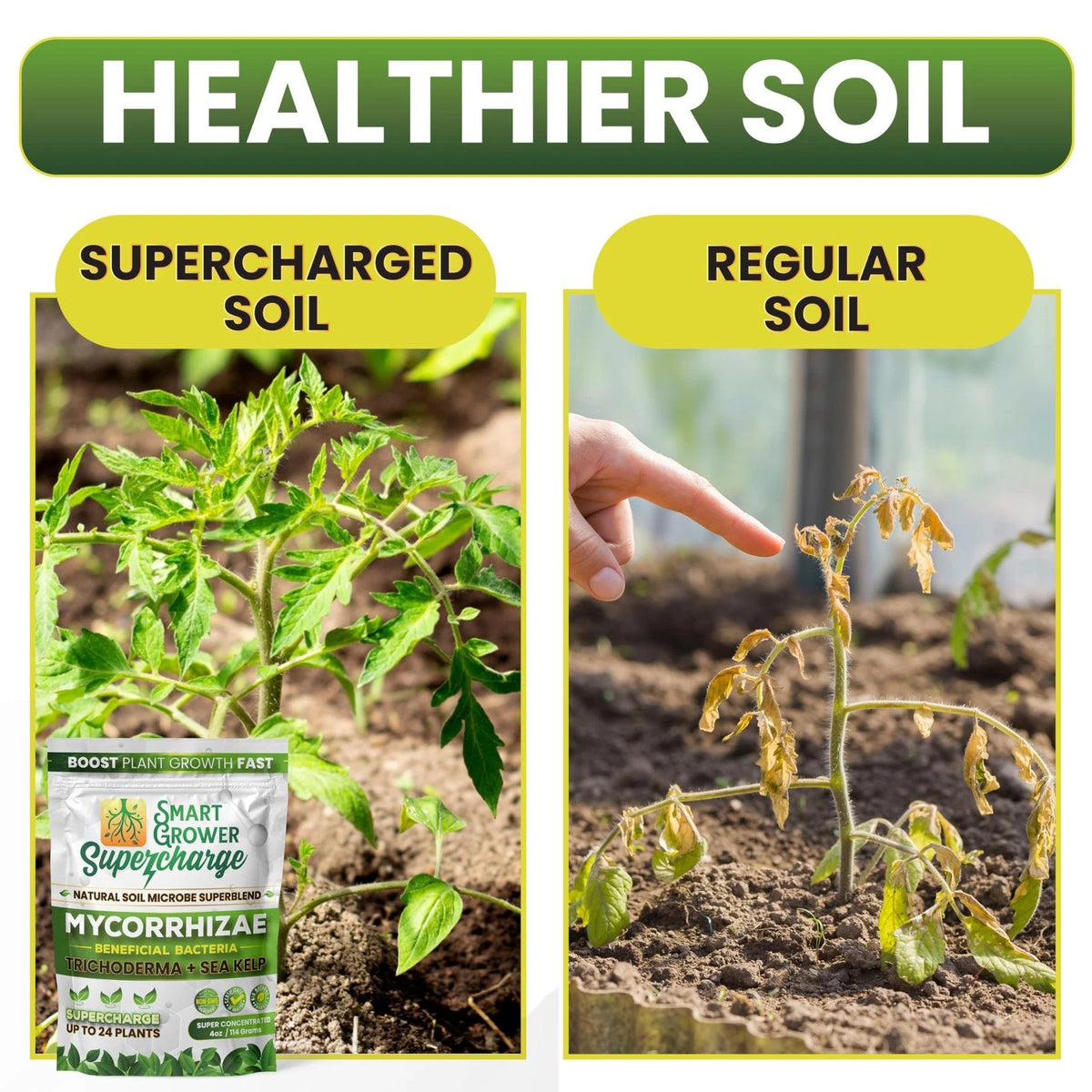 Mycorrhizal Fungi with Beneficial Bacteria and Sea Kelp (2 Ounces)
