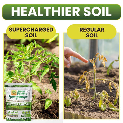 Mycorrhizal Fungi with Beneficial Bacteria and Sea Kelp (2 Ounces)