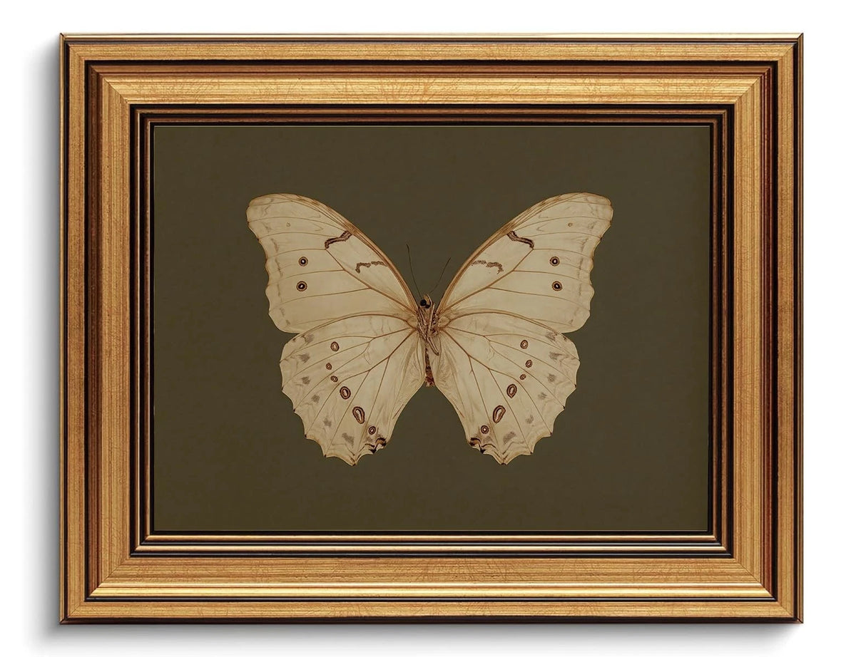 8x10 Vintage Butterfly Canvas Wall Art for Father's Day Gift