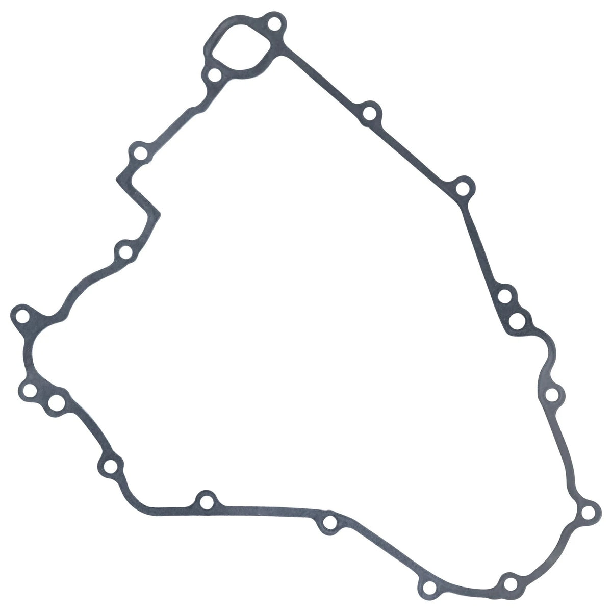 Stator Gasket for Kawasaki Teryx 4 750 (2012–2013) GT424 - LAR