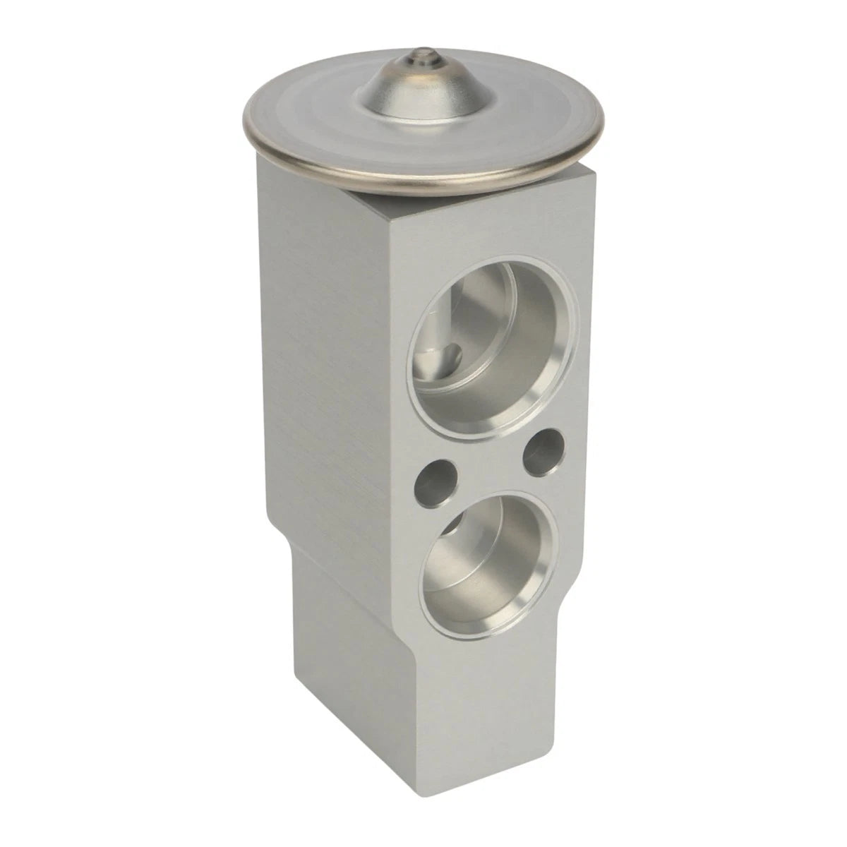 A/C Expansion Valve for BMW X5 E53 (2003–2006) 64116939313, 64119150685