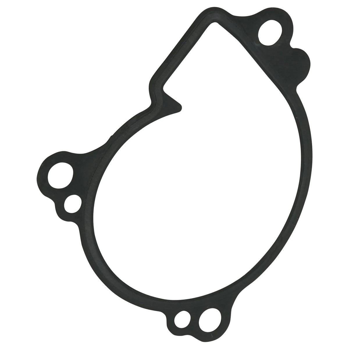 Water Pump Gasket for Yamaha (3B4-12428-00-00, GT559 - LAR)