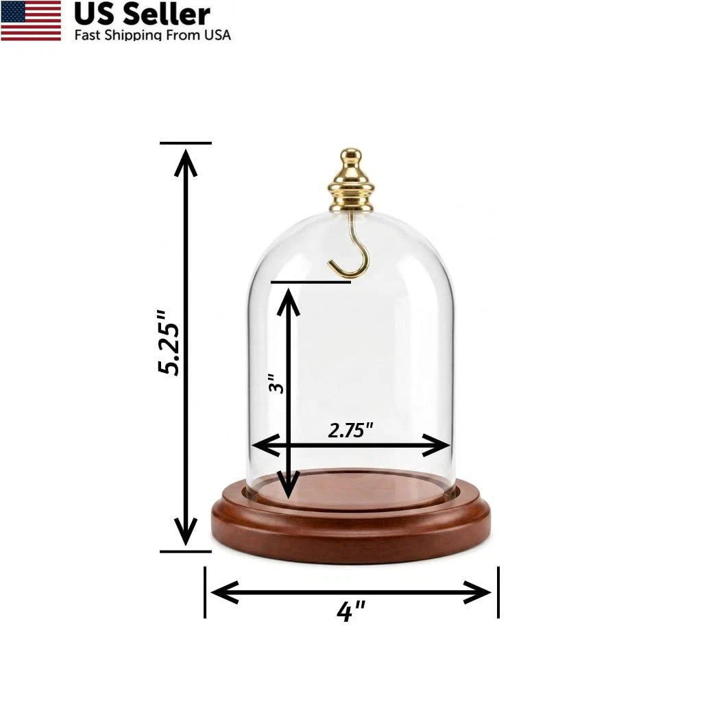 3X 4 Pocket Watch Glass Display Dome Cloche with Gold Knob and Hook