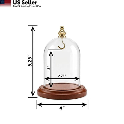 3X 4 Pocket Watch Glass Display Dome Cloche with Gold Knob and Hook
