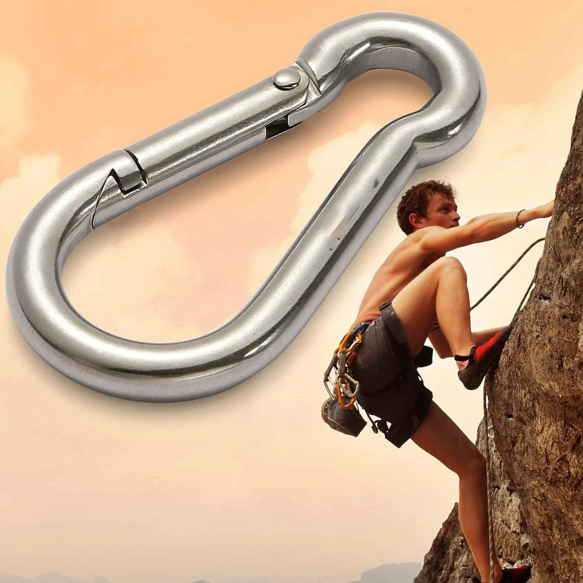 Set of 12 Stainless Steel Spring Snap Hook Carabiners 304 Clips