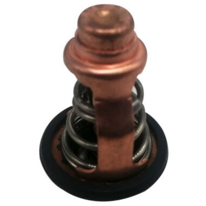 Thermostat for Yamaha F80B F100D Outboard Motor (4-Stroke) (6D9-12411-00)
