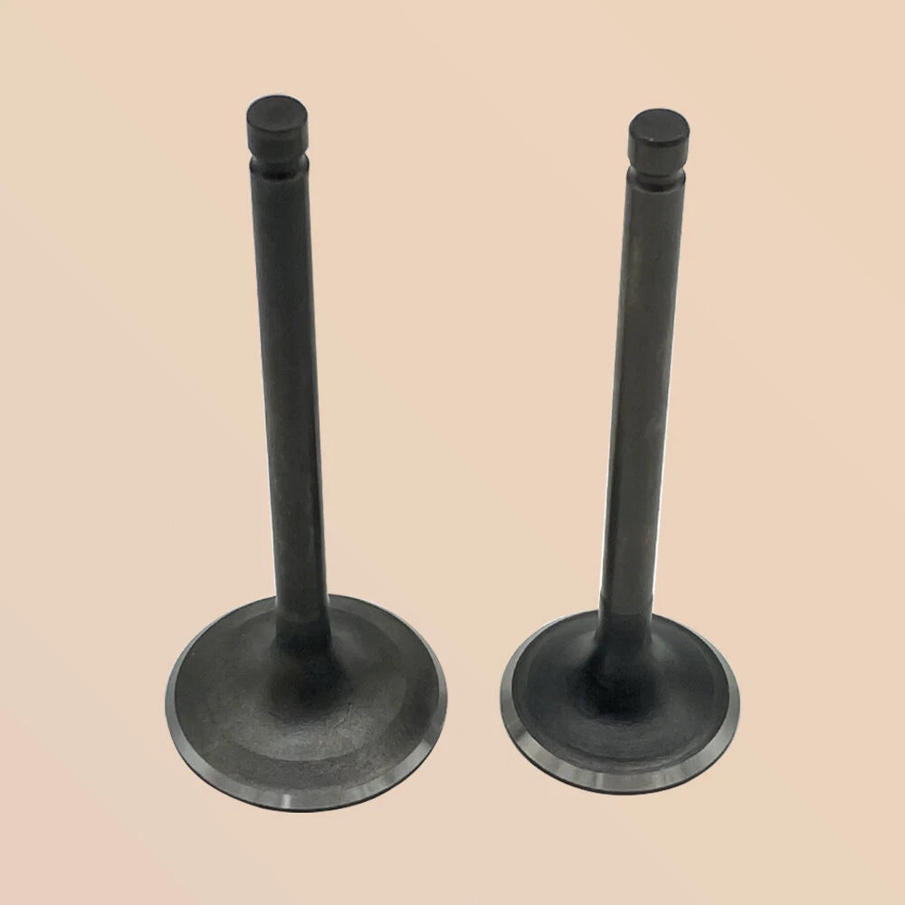 Intake & Exhaust Valve for Yamaha Bruin 350 Raptor 350 (2004–2013) 1UY-12111-01-00, 1UY-12121-01-00