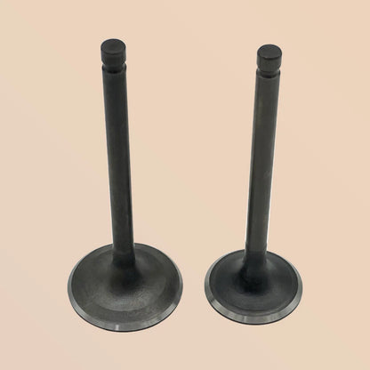 Intake & Exhaust Valve for Yamaha Bruin 350 Raptor 350 (2004–2013) 1UY-12111-01-00, 1UY-12121-01-00