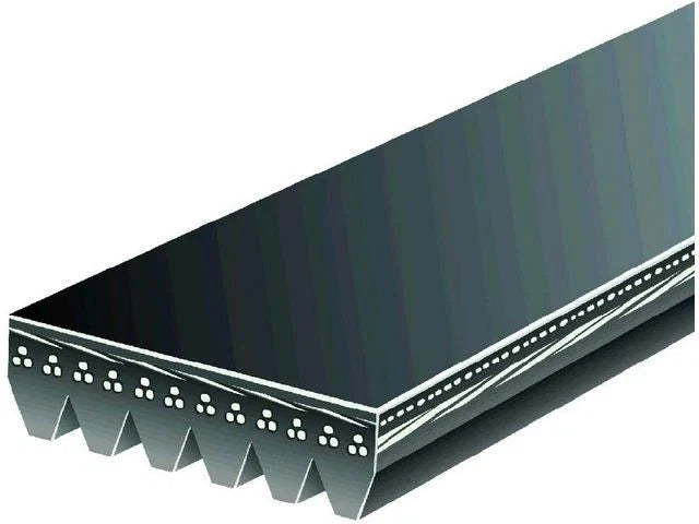 Multi Rib Belt for Mazda 6 3.0L V6 (2003–2008) FF197FZ