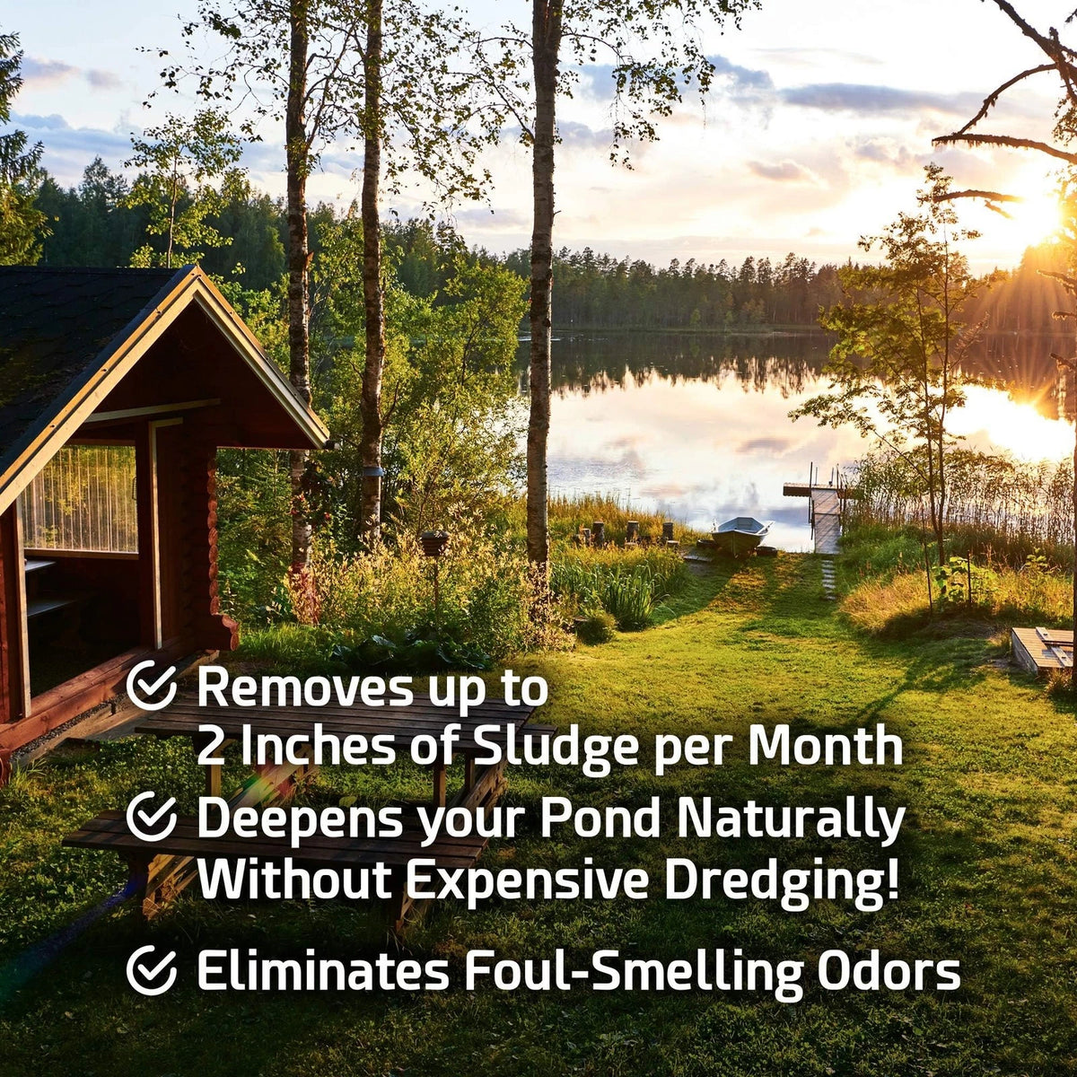 5 Pounds Pond Sludge Remover Beneficial Bacteria & Enzyme
