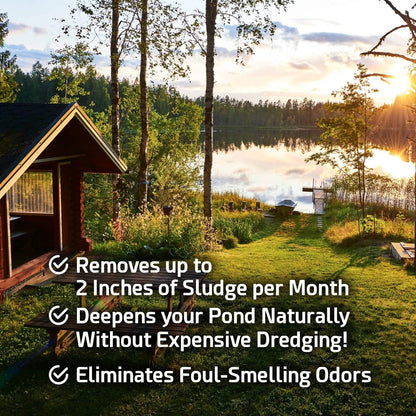 5 Pounds Pond Sludge Remover Beneficial Bacteria & Enzyme
