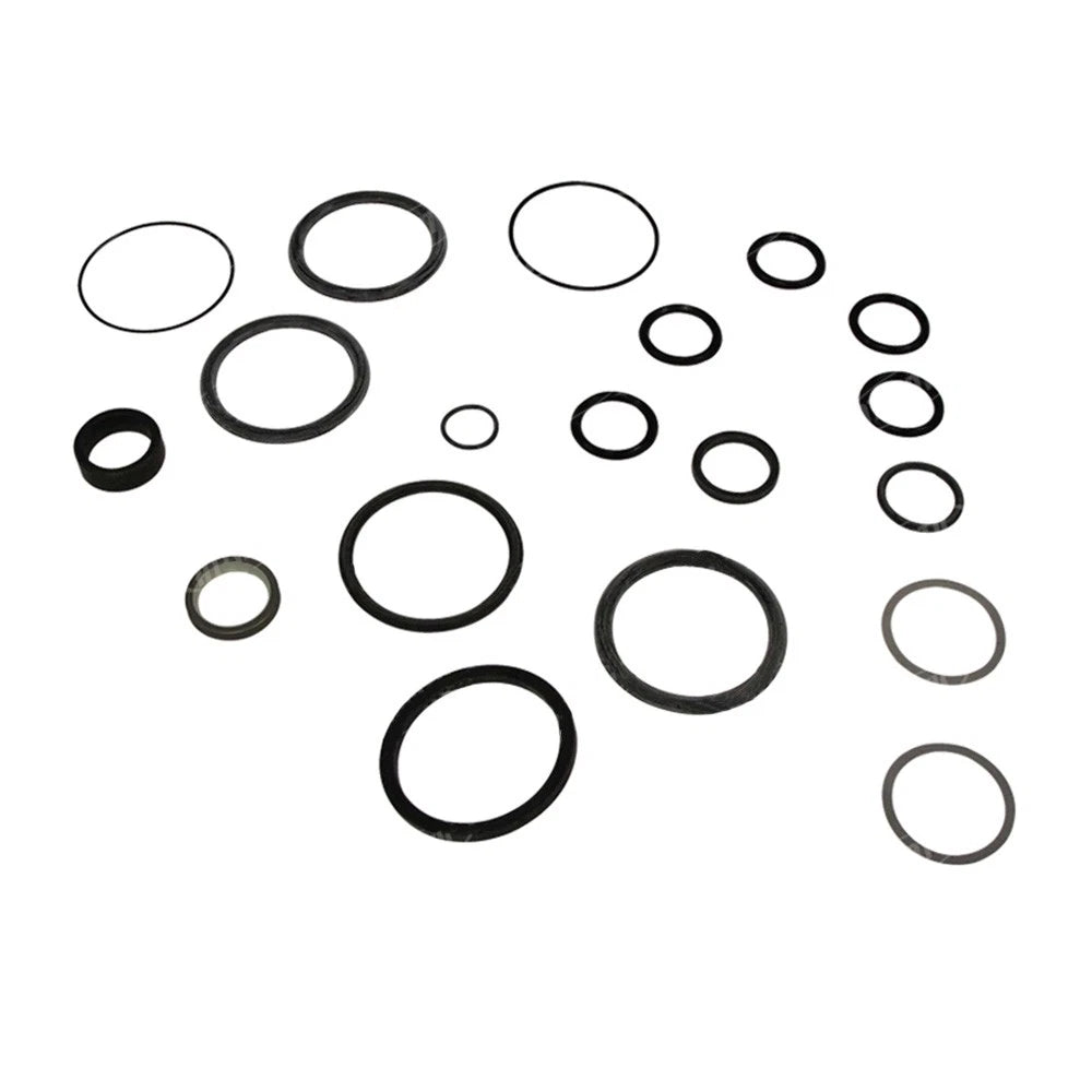 Hydraulic Cylinder Seal Kit for Ford/New Holland
