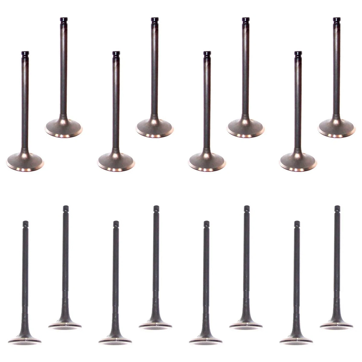 Set of 16 Intake & Exhaust Valves Kit for Colt Expo Galant Sebring 2.4L L4
