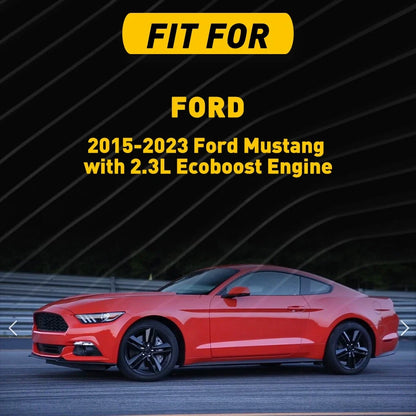 Fuel Vapour Hose & Purge Solenoid for Ford Mustang (2015–2023)