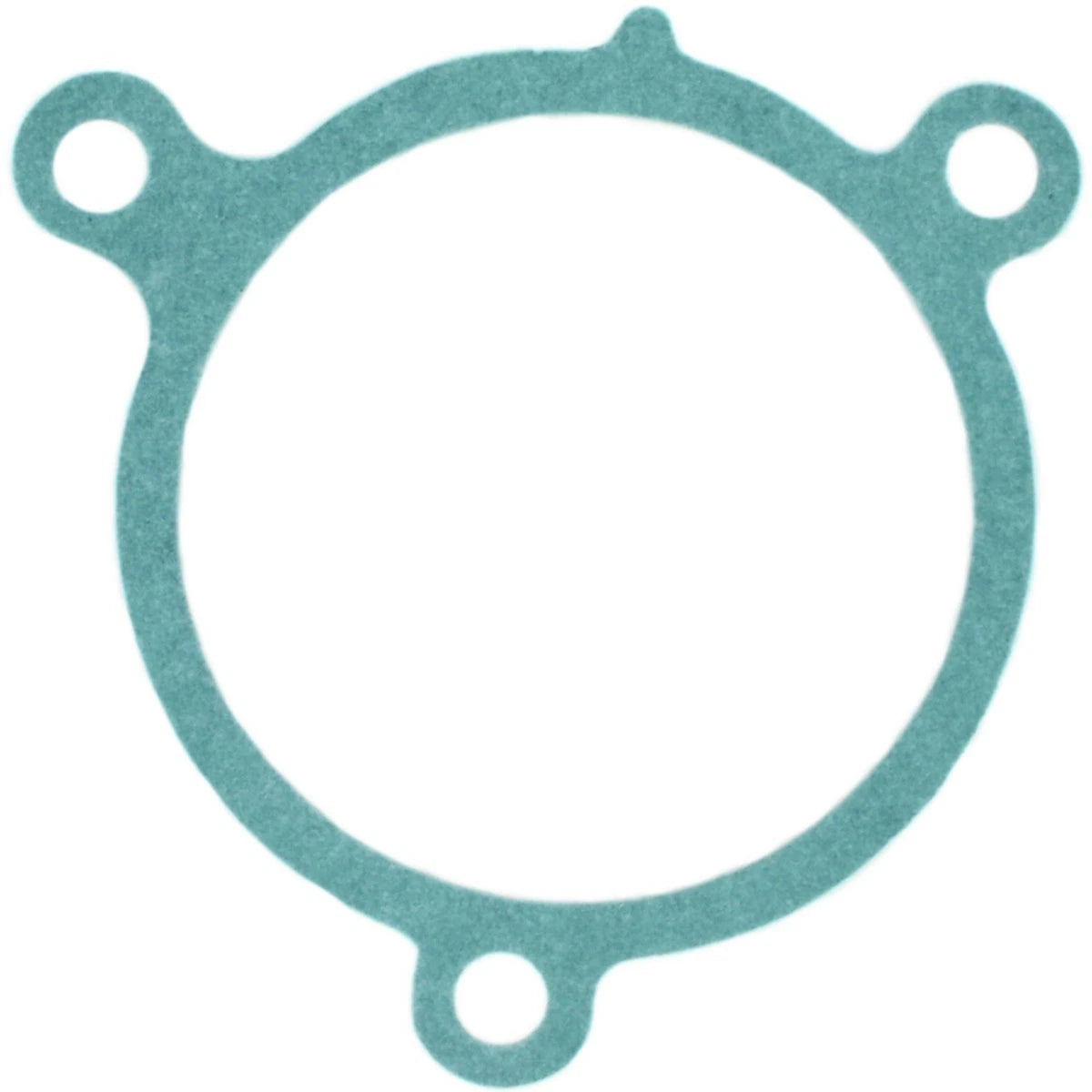 AWP3065 Water Pump Gasket for Kia Sportage, Mazda 626, B2000 (1983–1995)