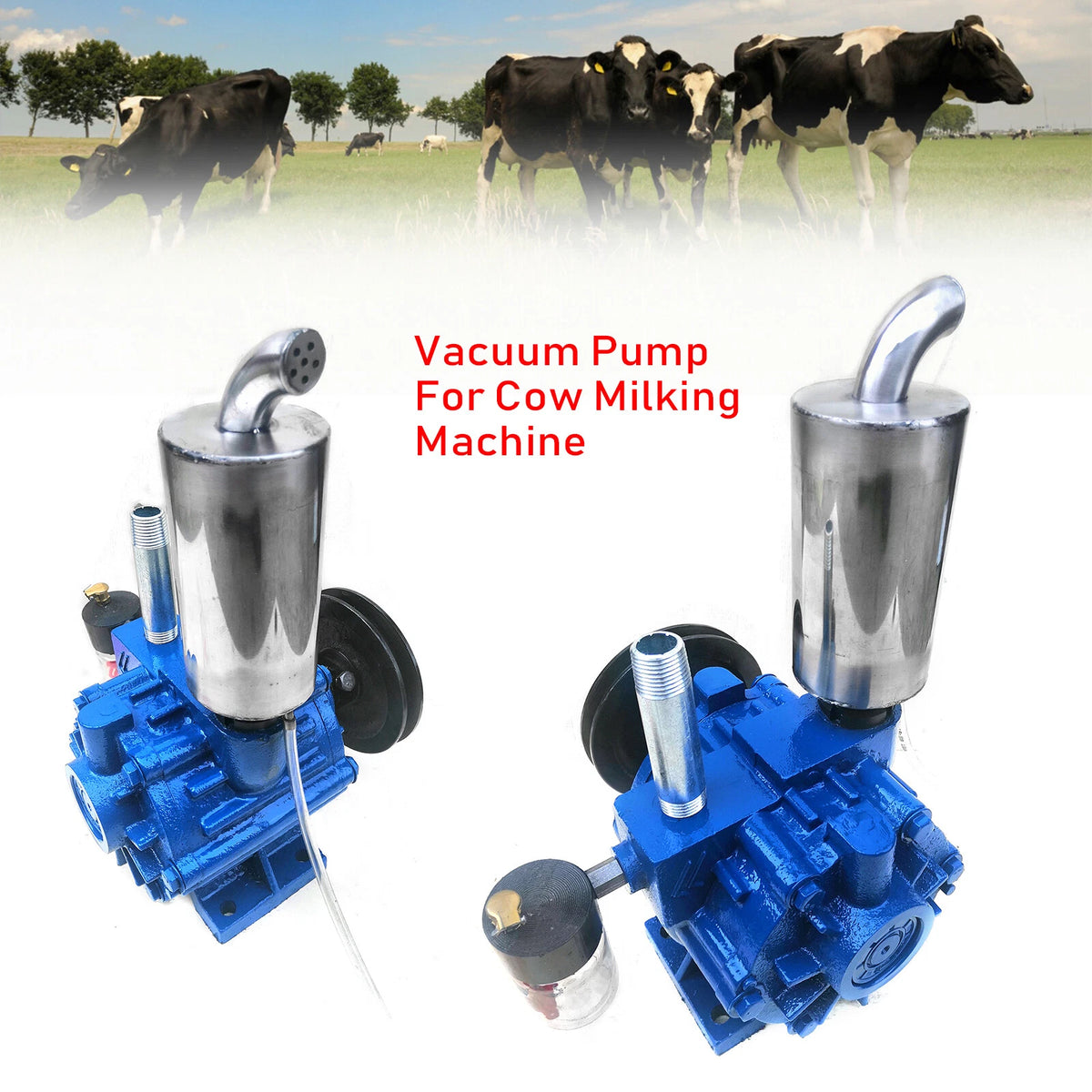 Electric Vacuum Pump for Sheep Milker Tank (220L, 250L)