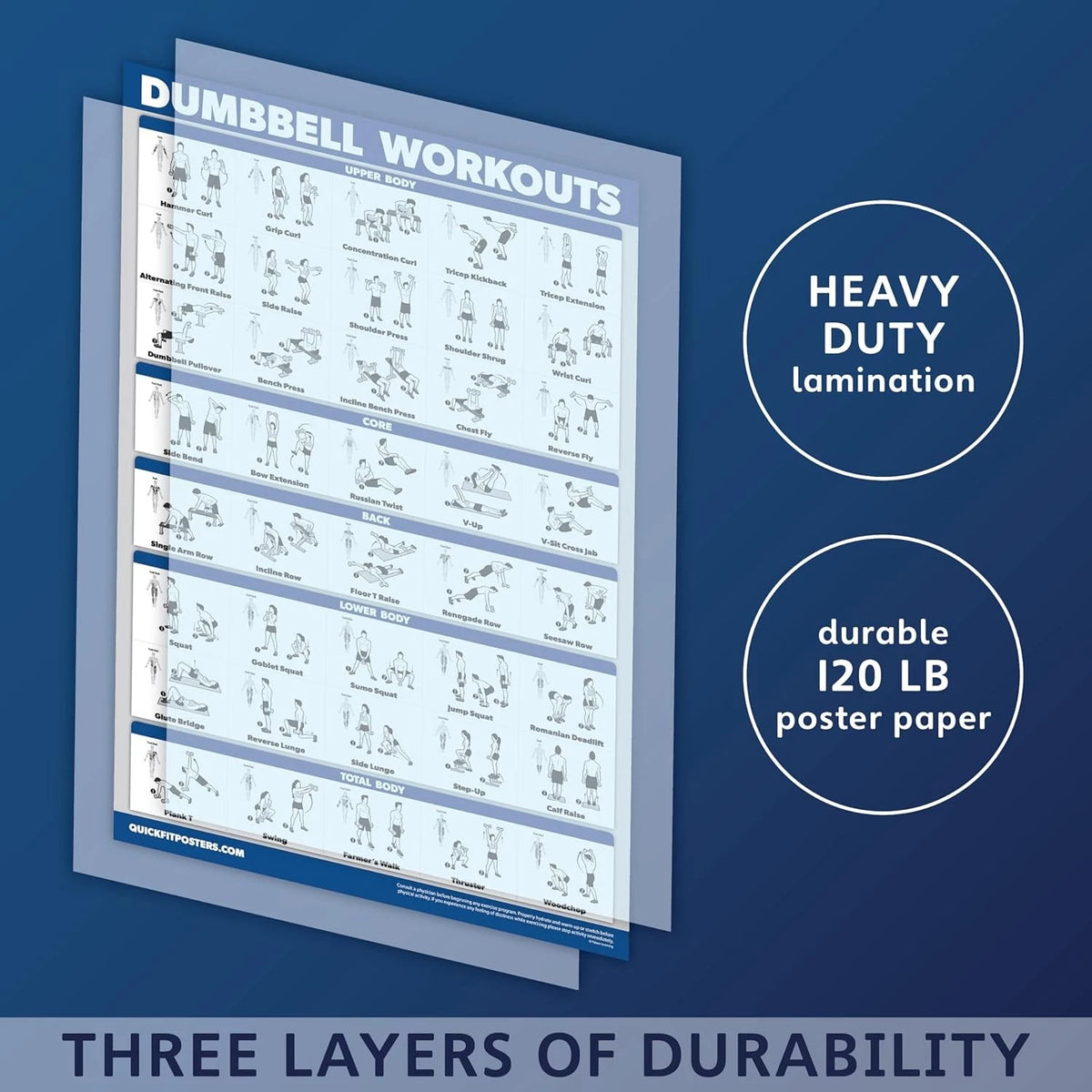 Dumbbell Workout Exercise Poster for Free Weight (18" x 24")