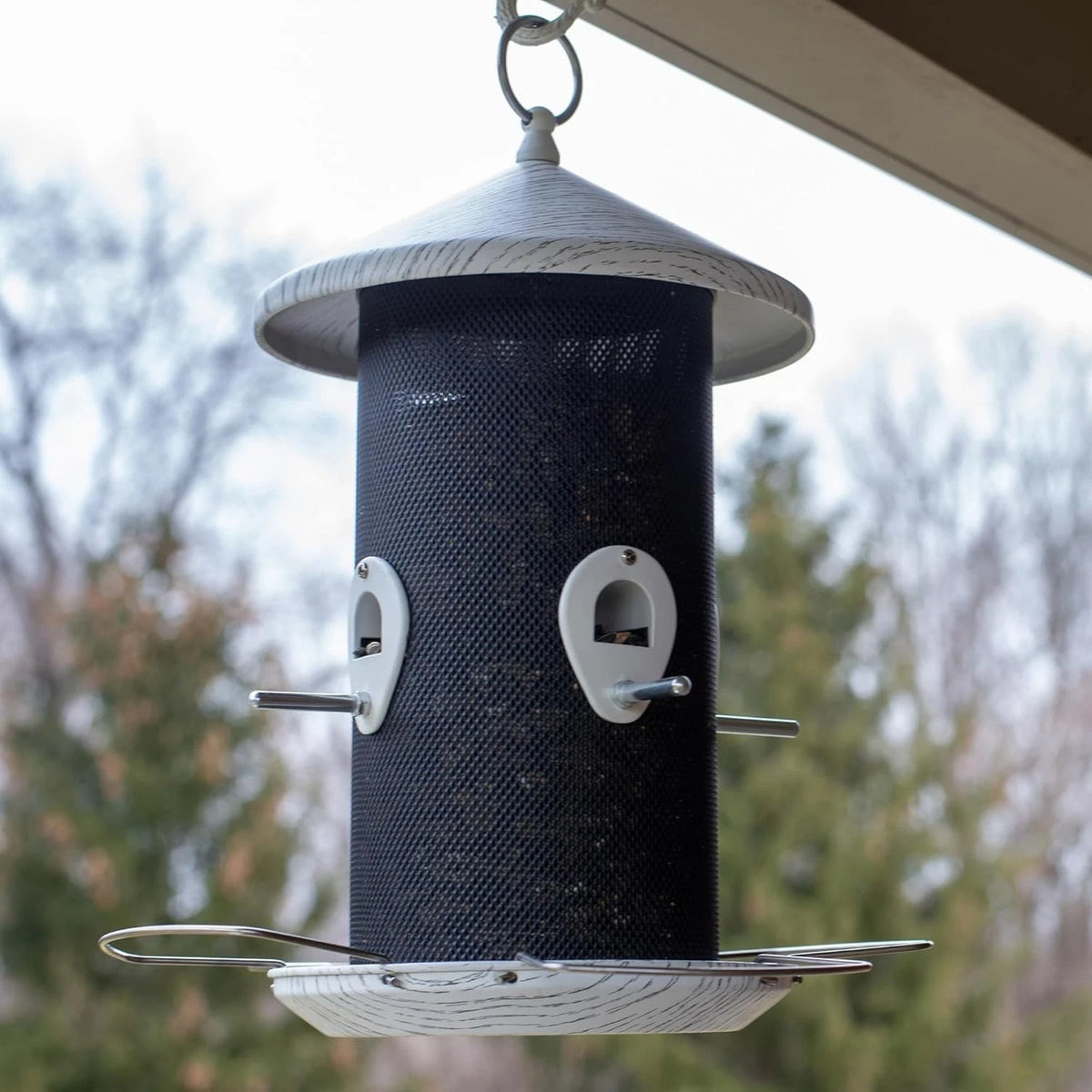 12-Inch Hanging Bird Feeder for Chickadees & Nuthatches