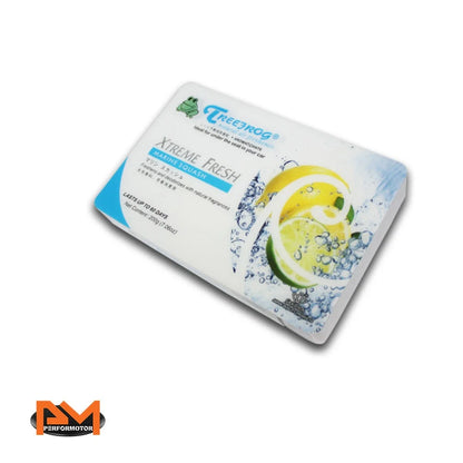 Treefrog Air Freshener for Car Japan (200g, Marine Squash Scent)