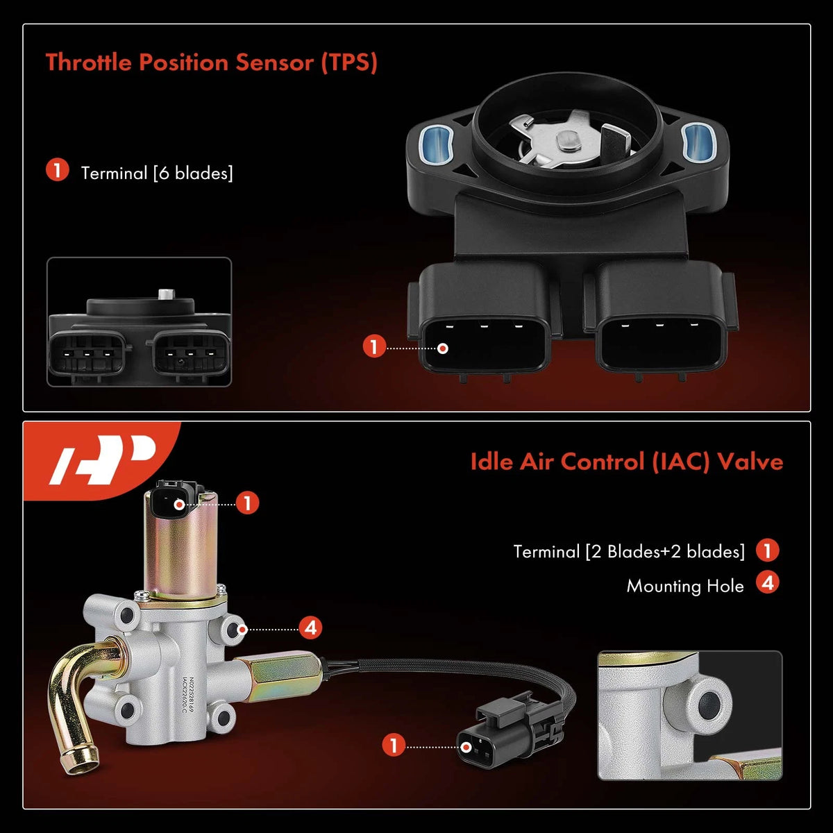 2X Idle Air Control Valve & Throttle Position Sensor for Nissan (237811W600, 237814S100, AC284)