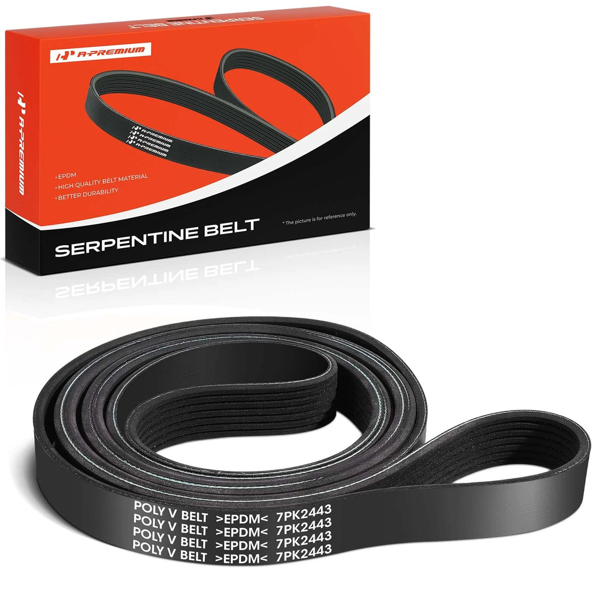 Serpentine Belt for Nissan Titan Armada (2017–2023) - 11720EZ30A, K070961