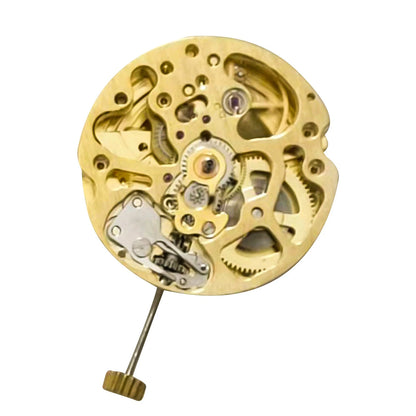 17 Jewels Skeleton Automatic Watch Movement for 2004 (2 Time Zones)