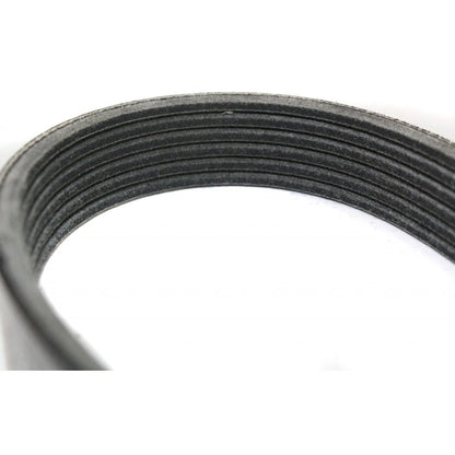 Serpentine Drive Belt for GMC Envoy XL (2003–2006) CLX-M0-USA-REPC316205-CL360A90