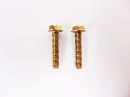 Set of 2 Screws for Arctic Cat Snowmobile (0623-024)