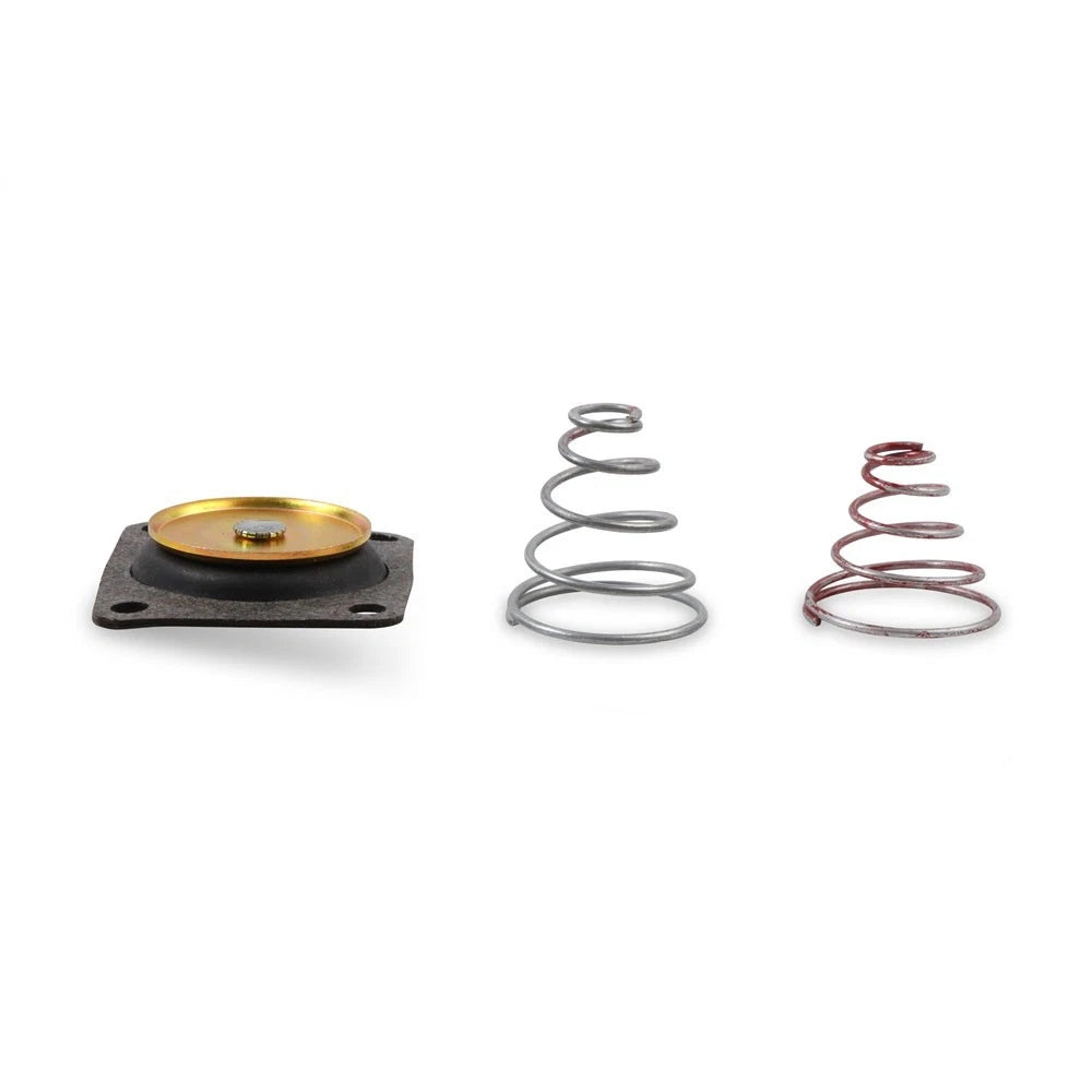 Electric Fuel Pump Repair Kit for Holley (12-807)