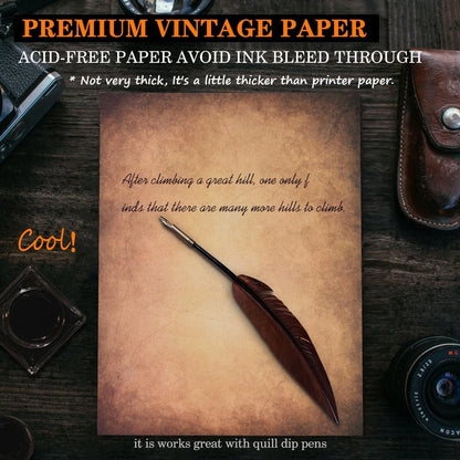 50 Sheets Vintage Scrapbook Paper 8.5 x 11 (Antique Aged Brown)