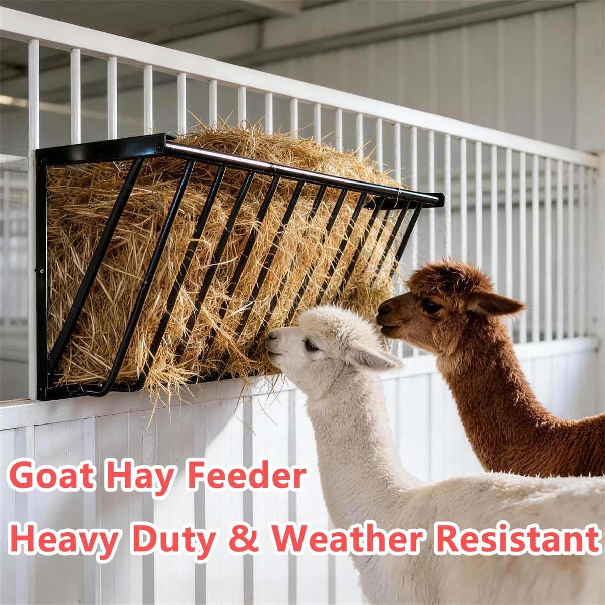 Wall Mounted Hay Feeder & Blanket Holder for Heavy Duty Use (63")