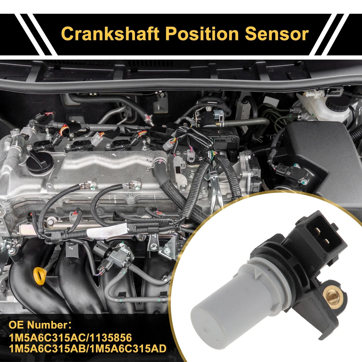 1 Pc Crankshaft Position Sensor No.1M5A6C315AC for Ford Focus (2001–2004)