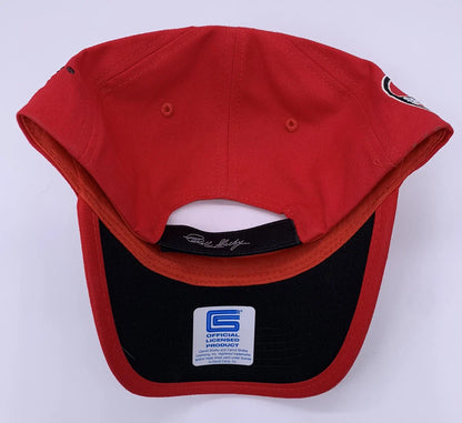Licensed Shelby GT350 GT500 Hat Black Red Cobra Logo for Ford Mustang (1965–2020)