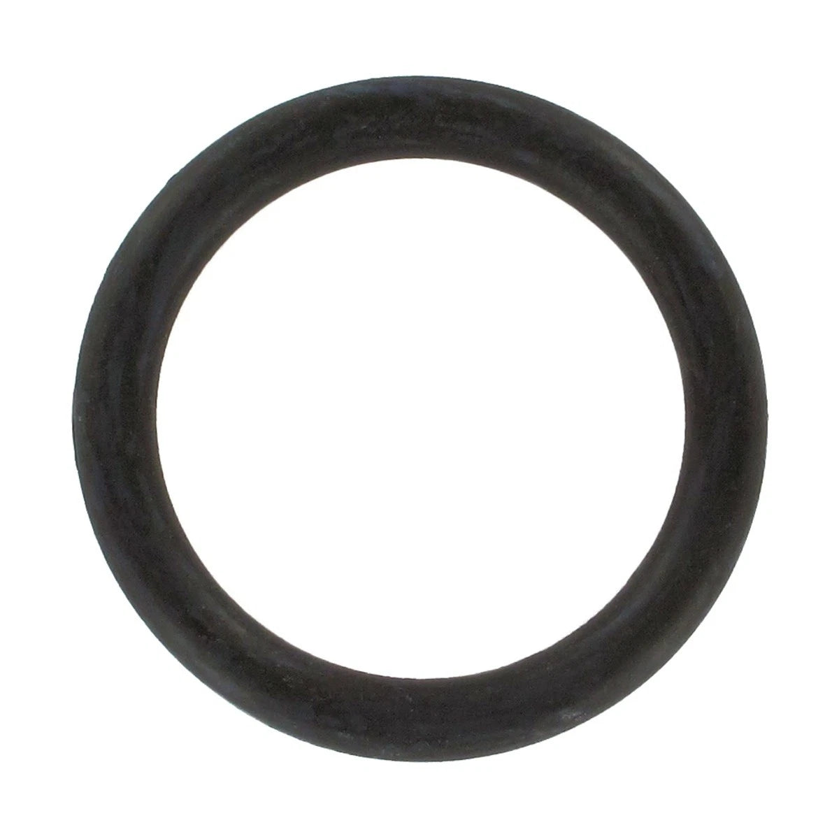 AWP3141 Water Pump Gasket for VW Dodge Grand Caravan (1999–2010)