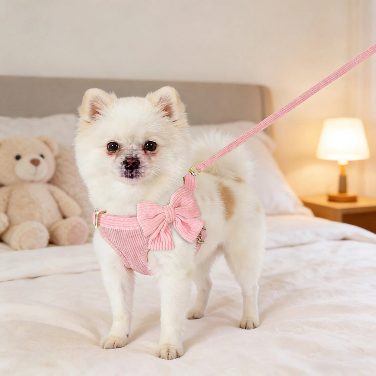 Dog Harness Collar and Leash Set for Small Dogs