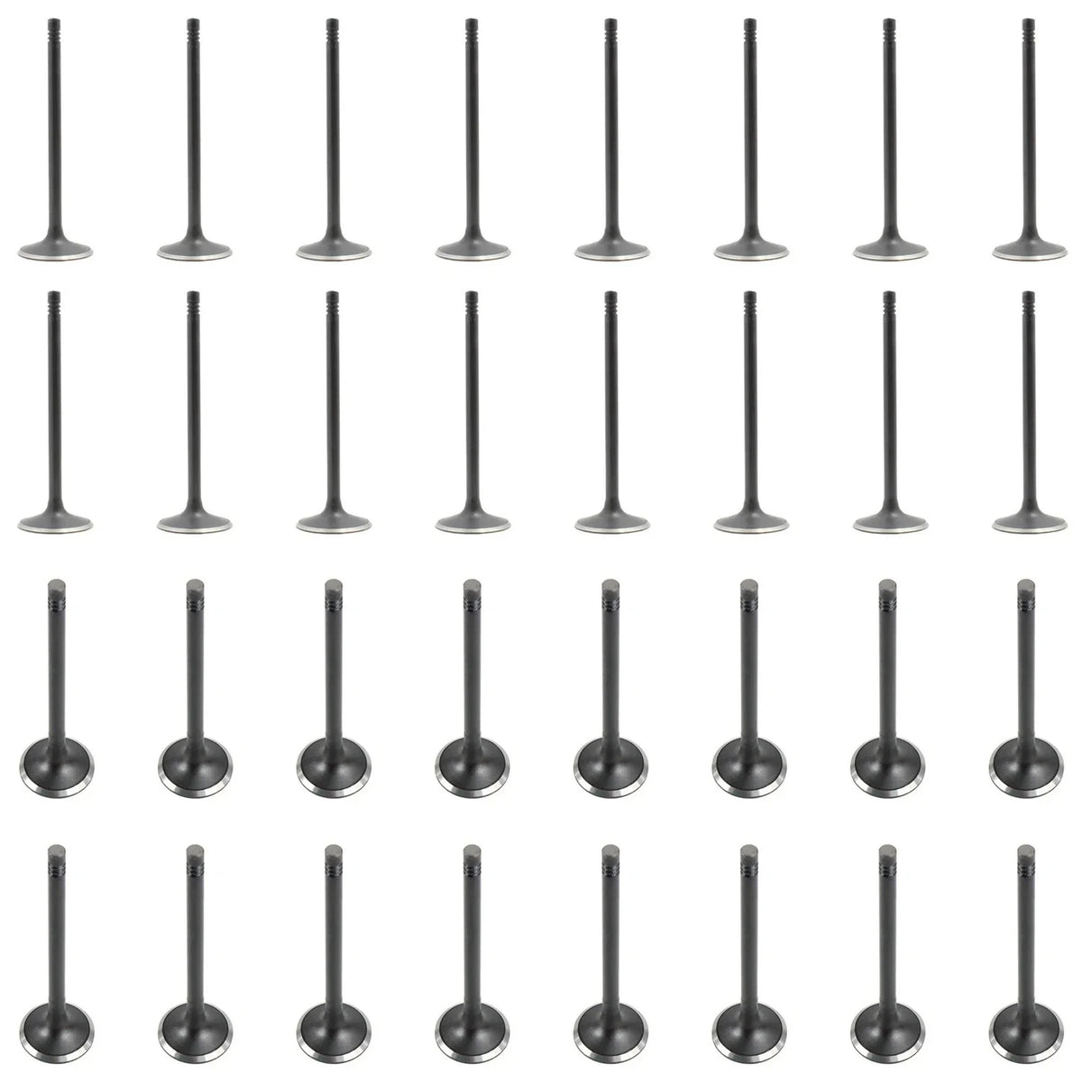 Set of 32 Intake & Exhaust Valves Kit for Audi A6 A8 Quattro S5 Touareg 4.2 V8