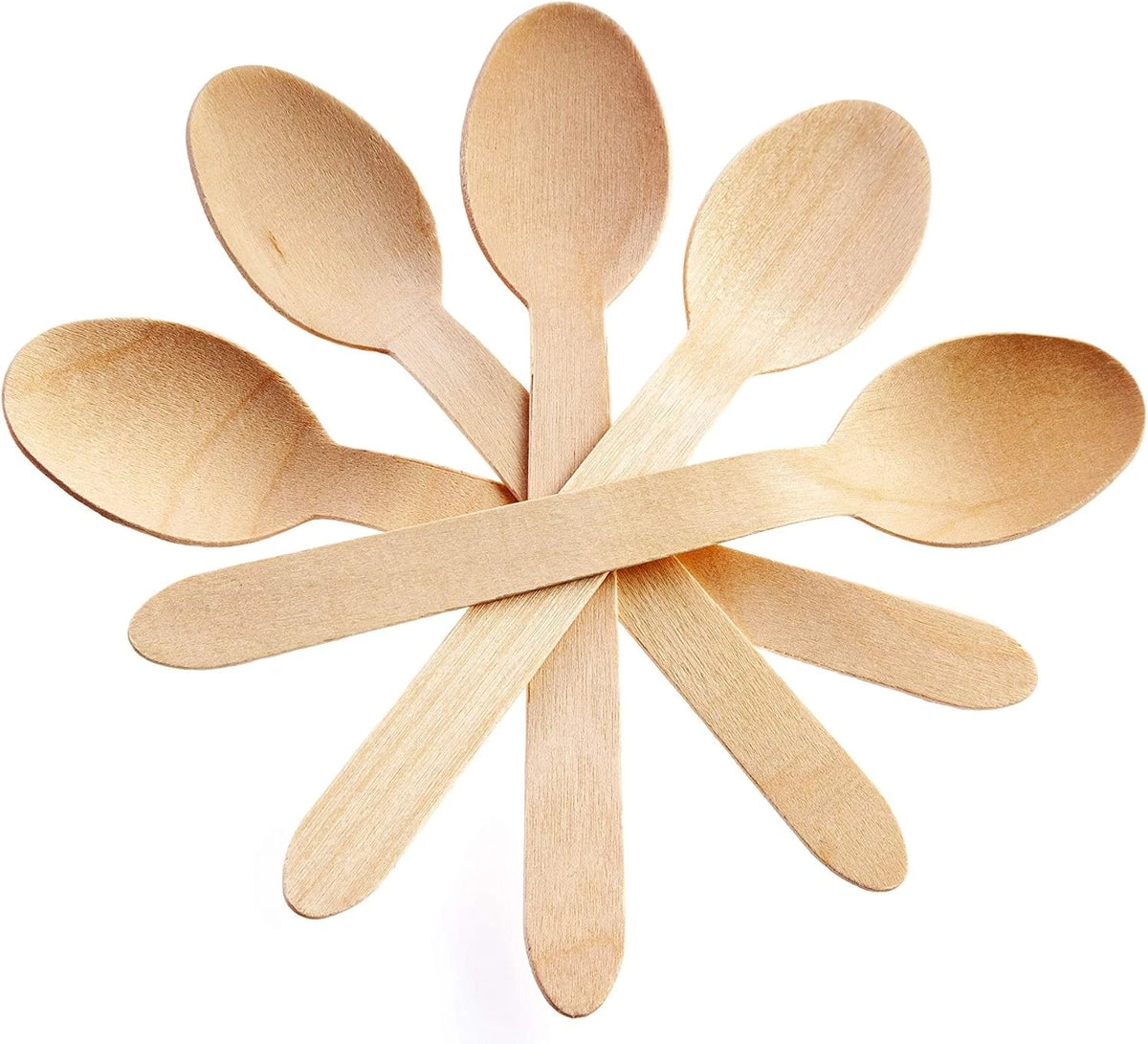 Set of 50 Disposable Wooden Cutlery Spoons, Compostable, 6.25 Inch